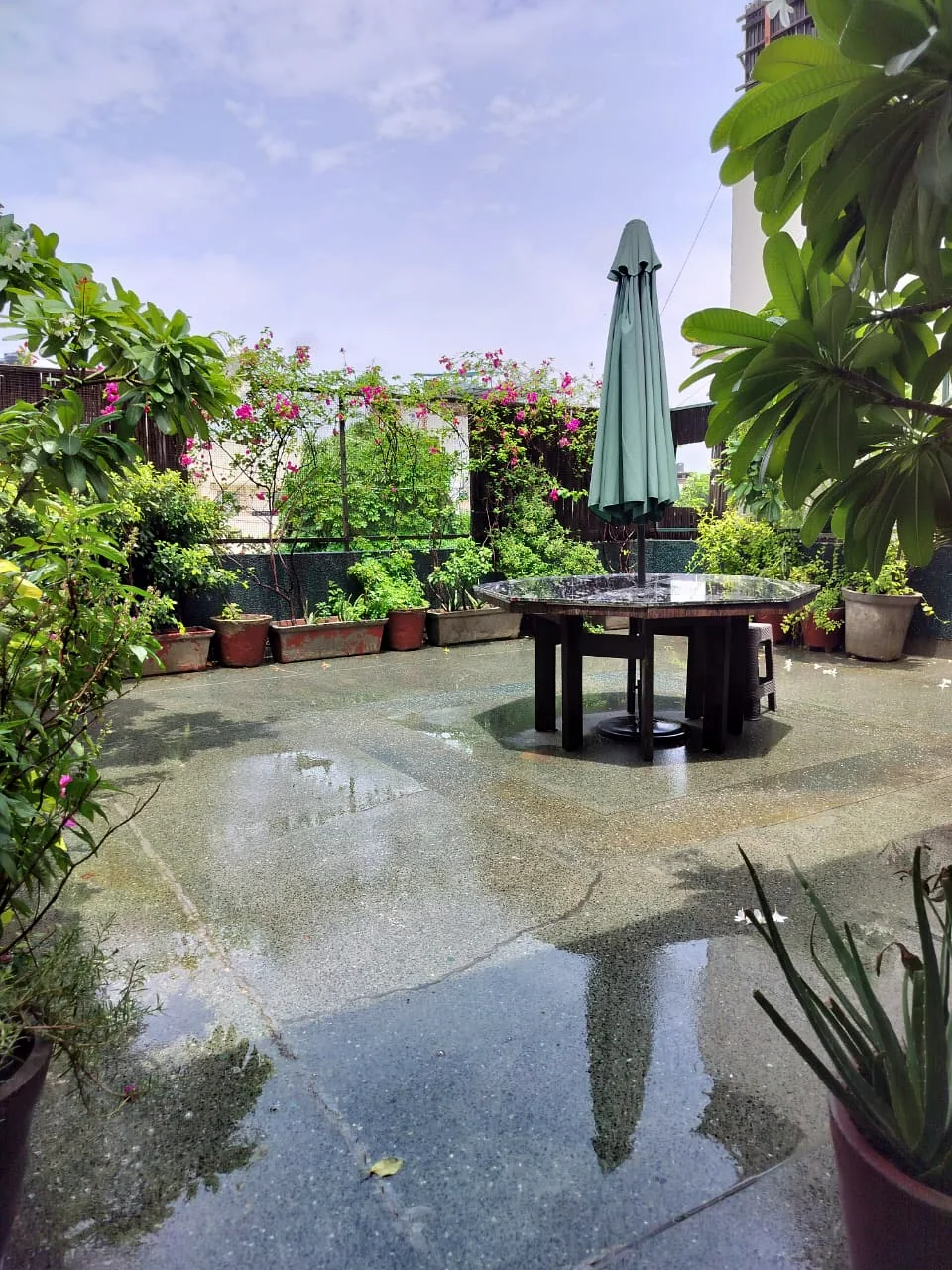 Safe House PG terrace in Malka Ganj